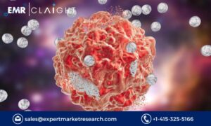 Nanomedicine Market