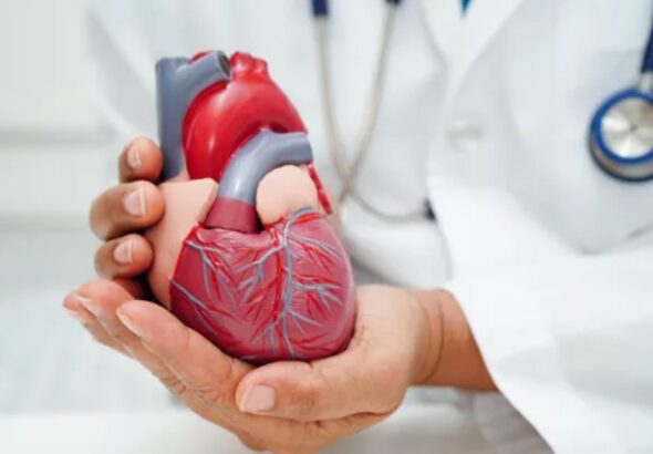 Heart Specialists in Gorakhpur