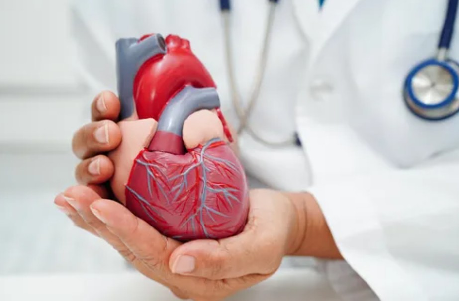 Heart Specialists in Gorakhpur